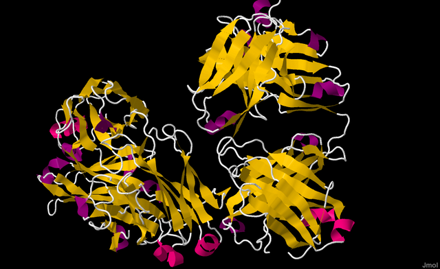 Fab domain of rituximab with a peptide epitope