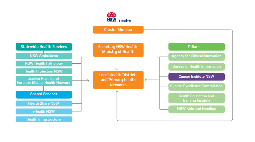 NSW Ministry of Health Framework